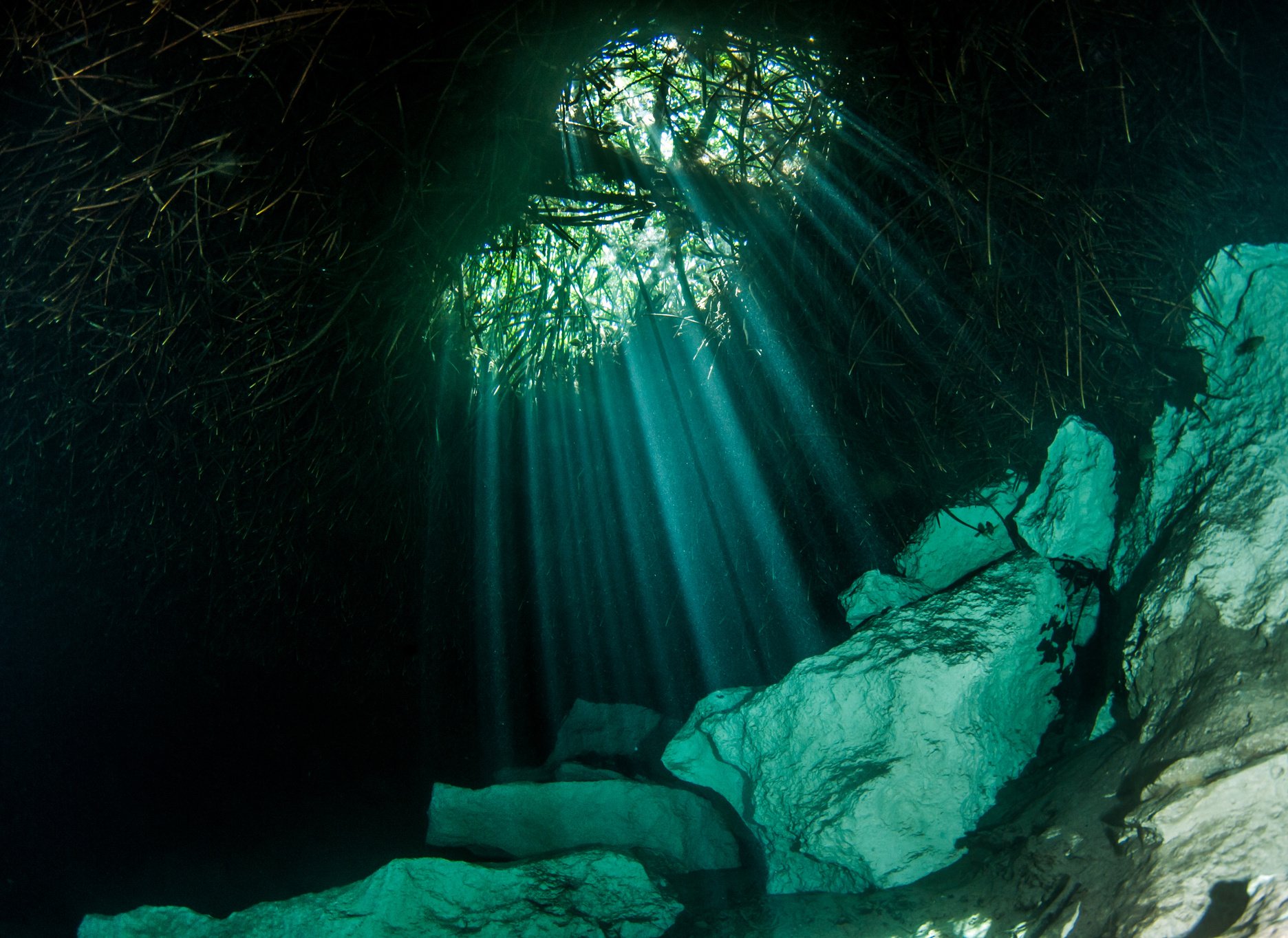 Scuba diving in the Casa Cenote, Tulum, Mexico