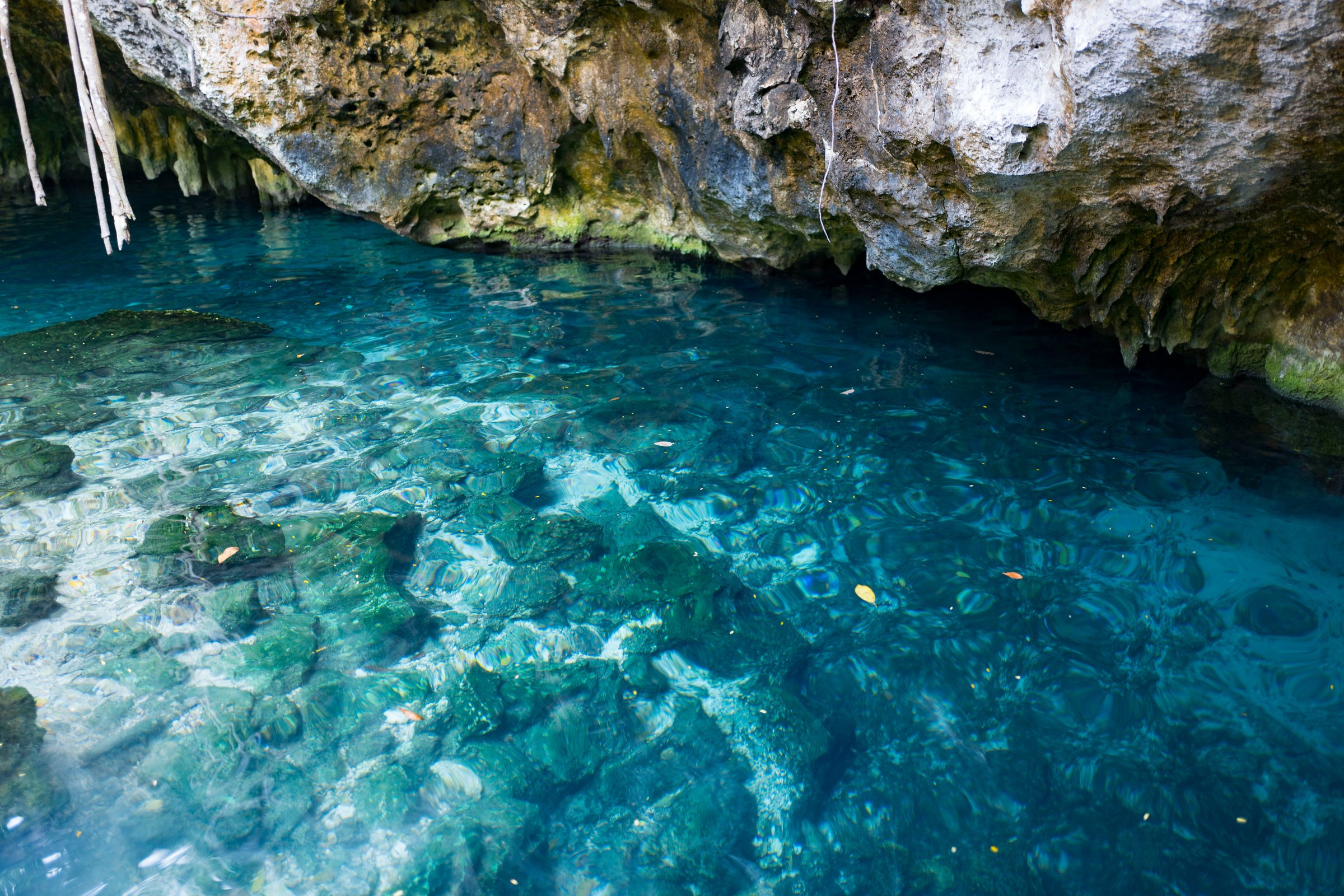 Grand Cenote, Tulum Mexico